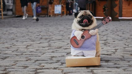 Happy Holidays • Uplifting And Carefree Instrumental Background Music For Videos (FREE DOWNLOAD)