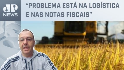 Chuvas vão impactar abastecimento de arroz no Brasil? Especialista responde