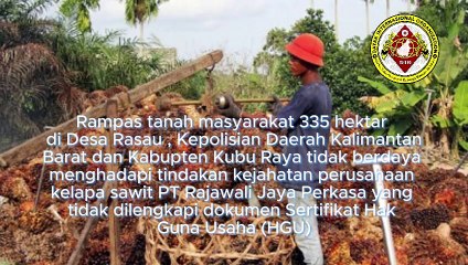 Rampas Tanah Masyarakat 335 Hektar di Desa Rasau Jaya, Kecamatan Rasau Jaya, Kepolisian Daerah Kalimantan Barat dan Pemerintah Kabupaten Kubu Raya Tidak Berdaya Hadapi Tindak Kejahatan PT Rajawali Jaya Perkasa, Kata Dr Herman Hofi Munawar SH MH