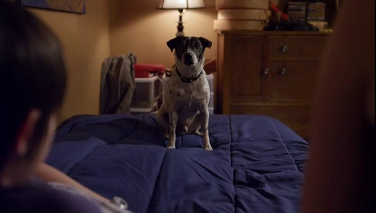 Vampire dog - Ganzer Film - 2012