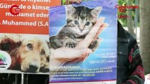 Beyazıt Meydanı'nda kedi ölümlerine protesto