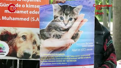 Beyazıt Meydanı'nda kedi ölümlerine protesto