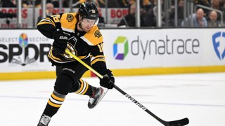Boston Bruins Predicted to Struggle in GM 4 Clash with Panthers