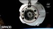 Watch How Astronauts Relocates A SpaceX Dragon Capsule - Time-Lapse Highlights