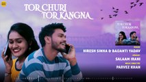 तोर चूड़ी तोर कंगना _ Tor Churi Tor Kangna _ CG Song _ Audio Song _ Hiresh Sinha _ CG Love Song