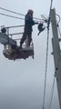 Racoon Rescued After Being Stuck Atop Pole for Two Days