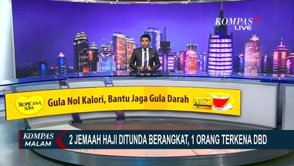 2 Jemaah Haji Ditunda Keberangkatannya ke Saudi Arabia, 1 Orang Terkena DBD!