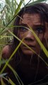¡ El planeta de los simios: nuevo reino! película completa en español latino cuevana