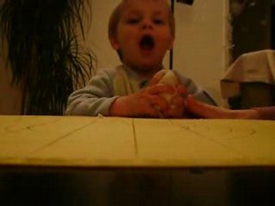 Photo 037