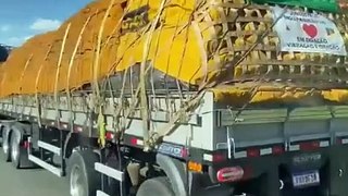 Varios camiones transportando donaciones a Brasil
