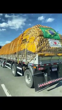 Varios camiones transportando donaciones a Brasil