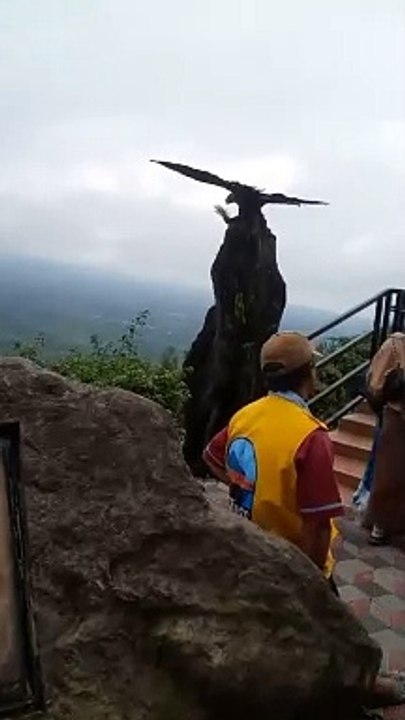 VID-20240413-WA0042