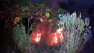 Incêndio em vegetação no Bairro Santa Cruz mobiliza Corpo de Bombeiros