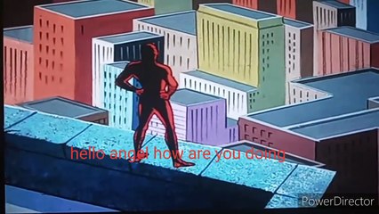 Spider Man Meets Angel the Dog