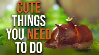 The Cutest Things To Do In Stray