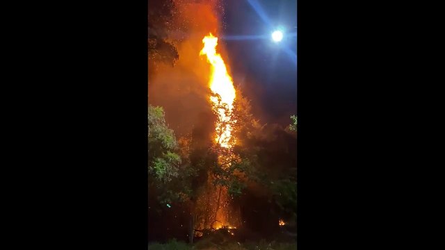 Incêndio ambiental de grandes proporções em Goioerê