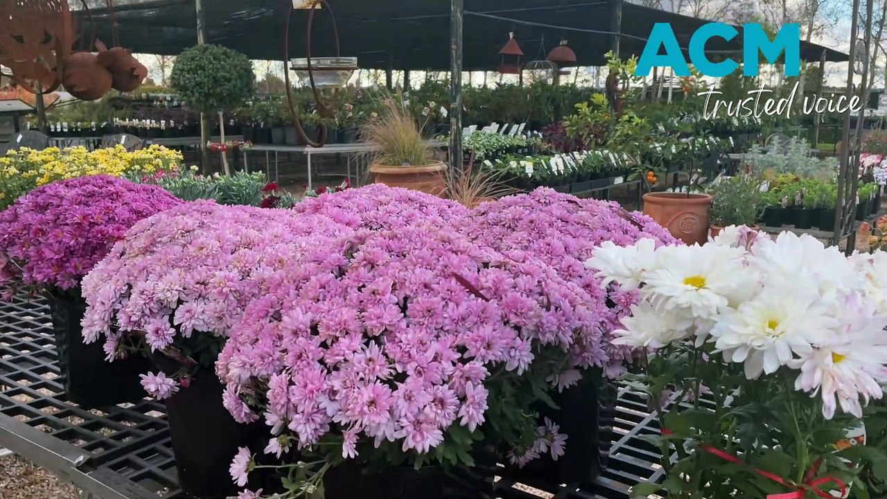 Riverside Nursery 2024