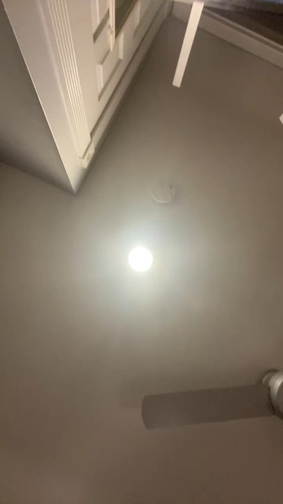 今日の最新動画