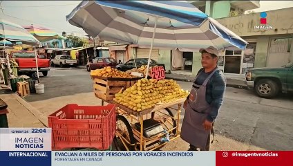 Ola de calor en México: Trabajadores enfrentan su jornada laboral bajo el rayo del sol