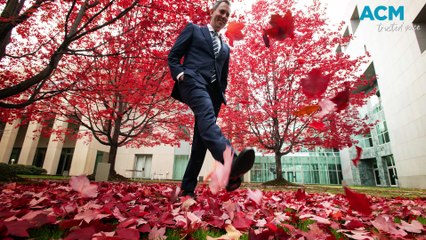 Canberra news, week ending May 12th, 2024.