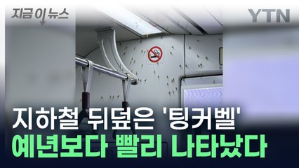 "으악 저게 뭐야"...지하철에 출몰한 수백 마리 벌레의 정체 [지금이뉴스] / YTN