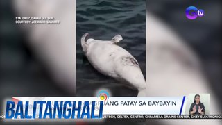 Dugong, natagpuang patay! | BT