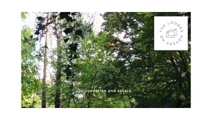 Unwind and Reconnect Vashon Island Resort Getaways