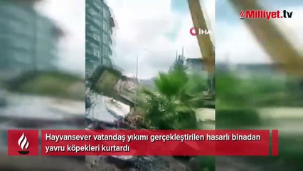 Yıkımı gerçekleştirilen hasarlı binadan yavru köpekleri kurtardı