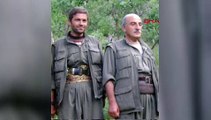 PKK'nın sözde konsey yöneticisi etkisiz hale getirildi