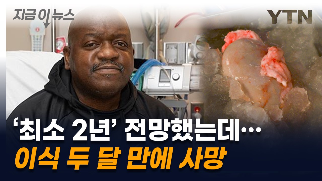 '최소 2년' 전망했는데...돼지 신장 이식받은 남성 사망 [지금이뉴스]  / YTN
