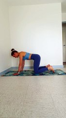 STABILITÉ ET EXTENSION DE LA LIGNE MÉDIANE : PLANK HOLD TEST