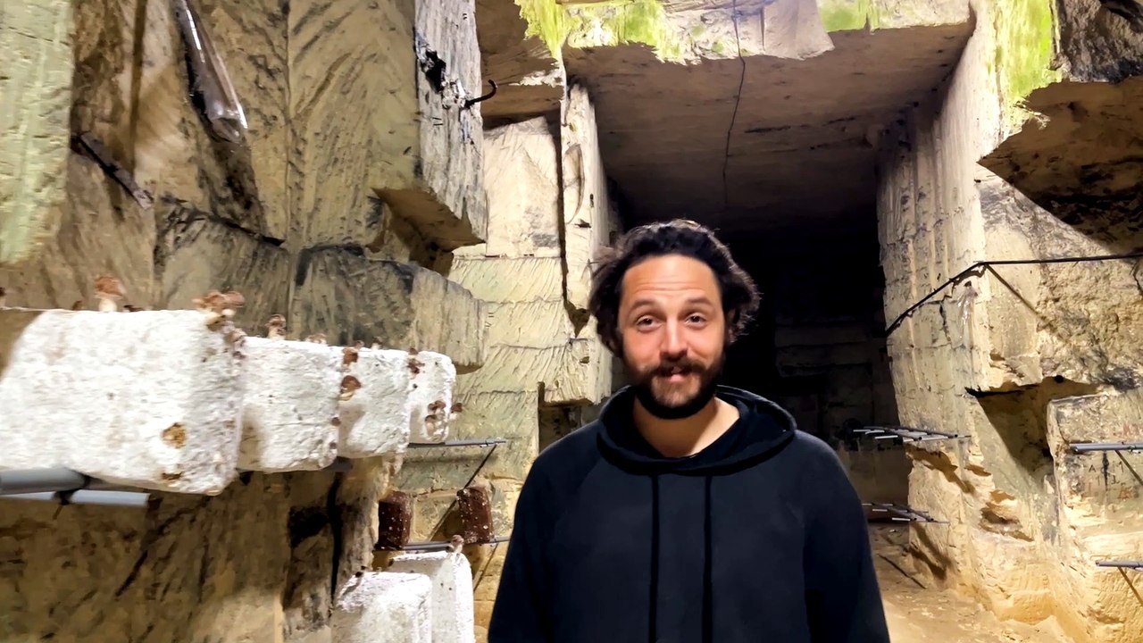 Viens voir ma Rurale 2024 avec Les Champis de l'Antre-Deux-Mers