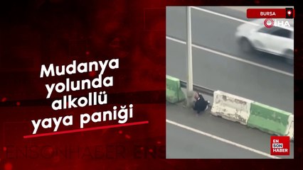 Mudanya yolunda alkollü yaya paniği