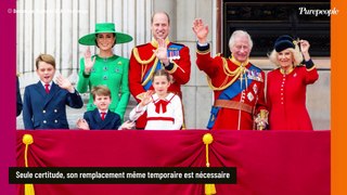Kate Middleton remplacée : deux membres du clan rarement vus aux événements appelés en renfort, l'un d'eux avait pourtant refusé