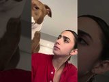 Dog Silences Woman When She Speaks