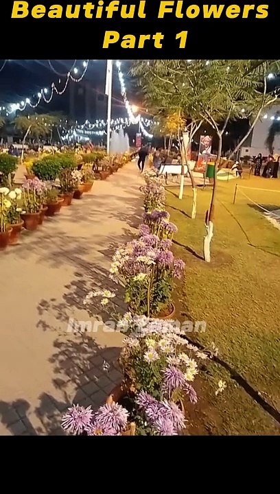 Beautiful Flowers l Part 1