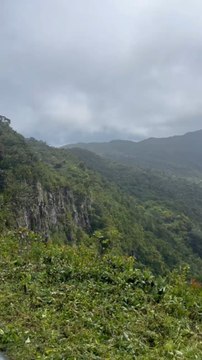 LES PLUS VERDOYANTS paysages de l’île Maurice