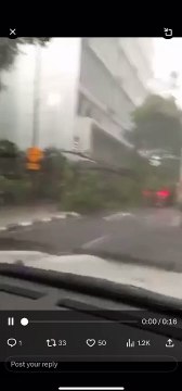 隆市下午一场暴风雨 槟榔路树倒砸中轿车e