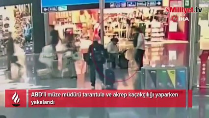 ABD'li müze müdürüne İstanbul'da operasyon! 1 litresi 10 milyon dolar