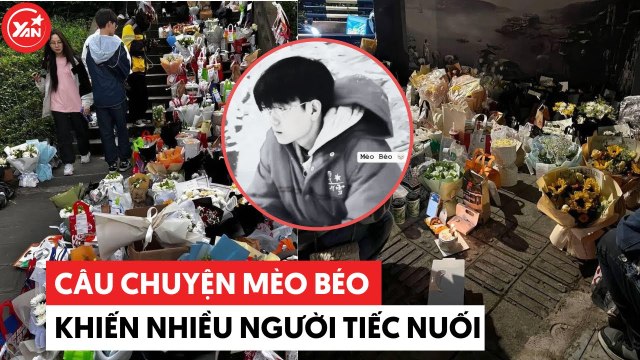 Câu chuyện Mèo Béo Trung Quốc: Nhiều người đem hoa, đồ ăn đến chân cầu để viếng