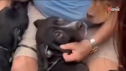 El vídeo que da la vuelta al mundo: el abrazo a sus cuatro hijos en las inundaciones de Brasil