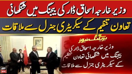 FM Ishaq Dar met with Secretary General of Shanghai Cooperation Organization