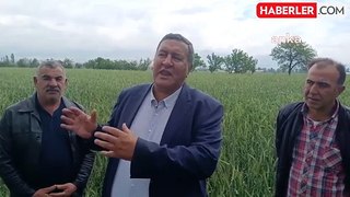 Çiftçilerden buğday taban fiyatı talebi