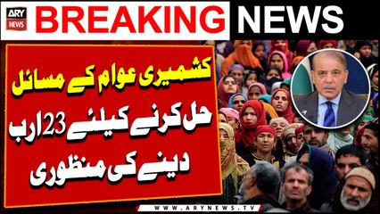 PM Shehbaz approves Rs 23bn to solve problems of Kashmiri people