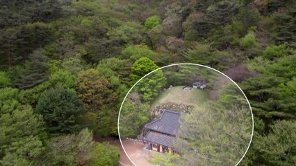 불국사·석굴암 품은 경주 토함산 곳곳 산사태..."문화재 위험" / YTN