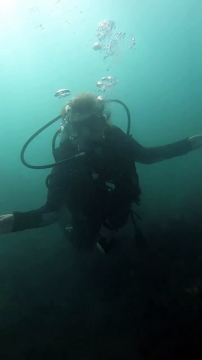 Exploring Mossel Bay's Marine Ecosystems: Scuba Diving and Species Surveys