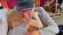 Inundaciones de Brasil: los reencuentros entre los perros y sus familias que te harán llorar