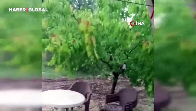 Malatya'da sağanak: Kırsal bölgelerde etkili olan dolu yağışı kayısıyı vurdu