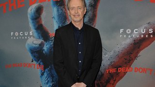 Steve Buscemi is the latest star to be randomly attacked in New York
