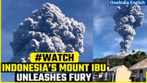 Indonesia's Mount Ibu Volcano Erupts, Spews Ash Clouds as High as 5 km | Video Out